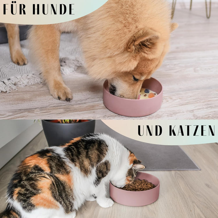 ne&amp;no® Silikon Fressnapf 1200 ml für kleine und mittelgrosse Hunde | Futternapf Hund rutschfest | Hu