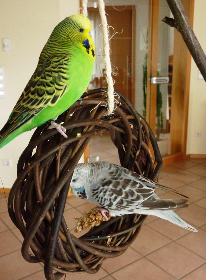 Vogelgaleria® Leckerer Weidenring zum Knabbern für Wellensittich, Nymphensittich & Co.; Weidengeflec