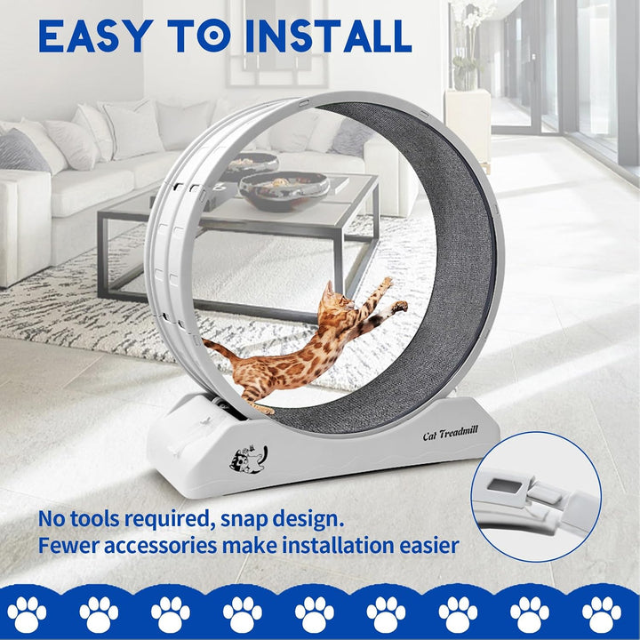 homegroove 31,5 Zoll Katzenräder für Indoor-Katzen, Plastik Katze Übung Laufband Rad mit Teppich Sta