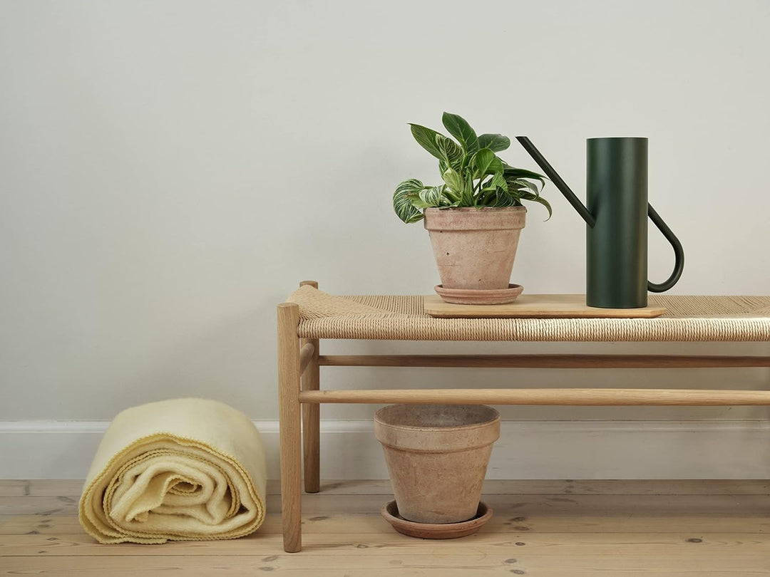 Stelton Bloom Blumengiesskanne 2L, für Zimmerpflanzen. Giesskanne mit langem Ausgiesser, pulverbesch