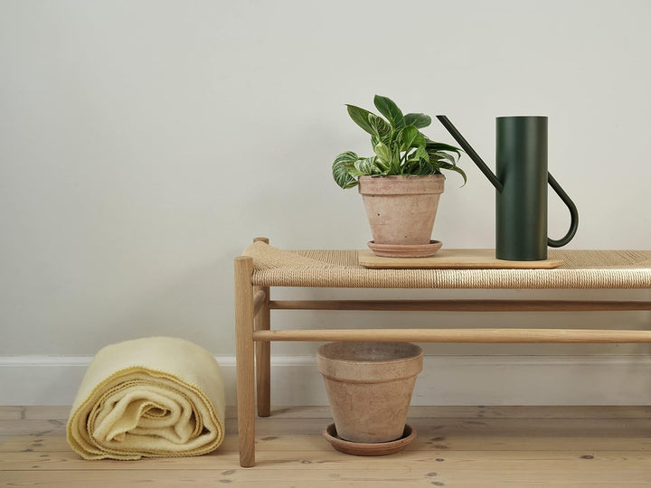 Stelton Bloom Blumengiesskanne 2L, für Zimmerpflanzen. Giesskanne mit langem Ausgiesser, pulverbesch