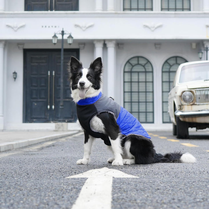 Warmer Fleece-Hundemantel für kleine Hunde, D-Ringe, wasserdichte Welpenjacke für den kalten Winter,