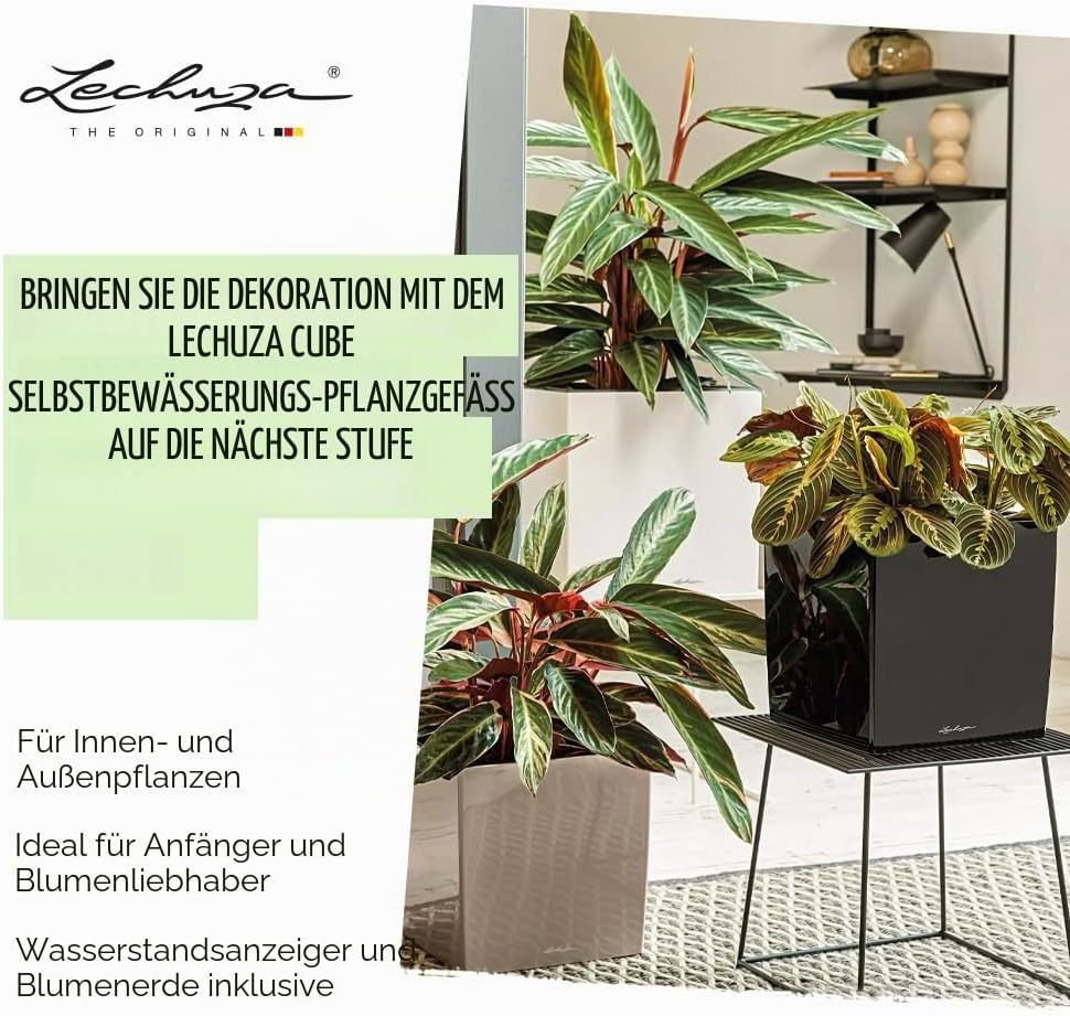 LECHUZA CUBE Premium 50 anthrazit metallic 16563 49x49x49.5 cm Anthrazit Metallic, 49x49x49.5 cm Ant