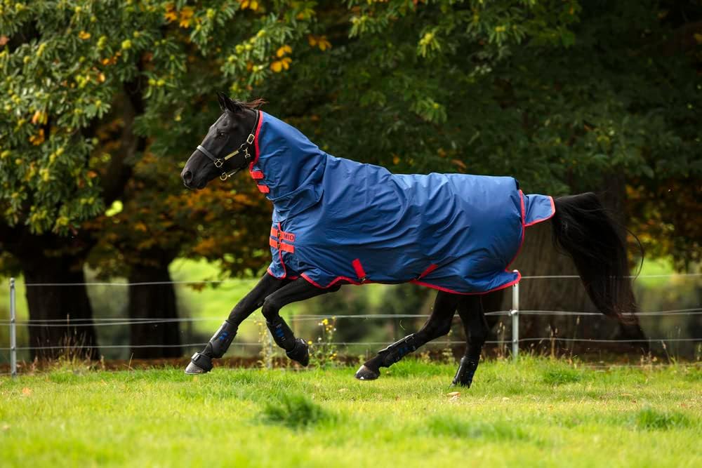 Horseware Amigo Mio Lite Alle In Einem Weichen Teppich 115cm Dark Blue/Red 5ft6, 5ft6