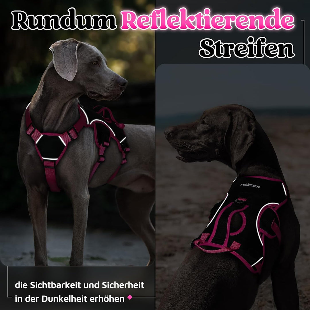rabbitgoo Ausbruchsicheres Hundegeschirr Grosse Hunde mit Griff, Anti Zug Sicherheitsgeschirr Hund A