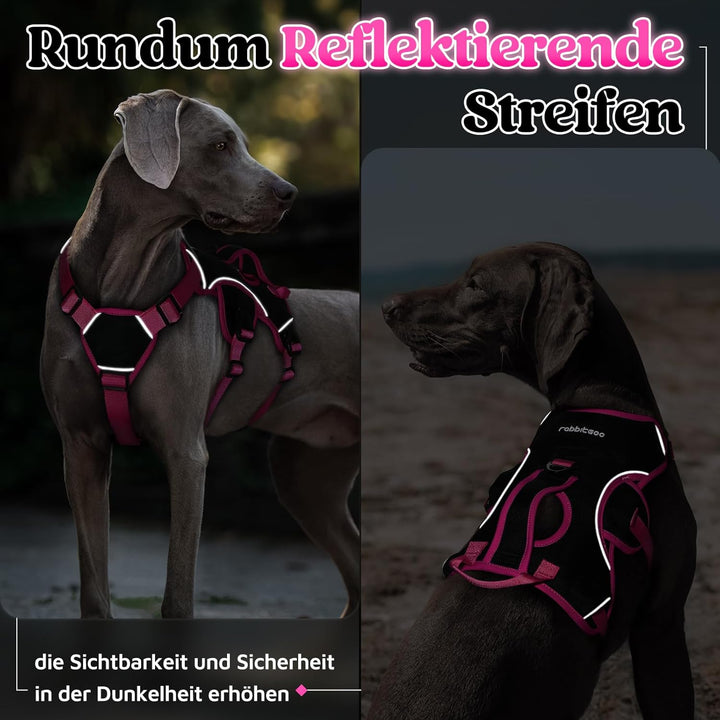 rabbitgoo Ausbruchsicheres Hundegeschirr Grosse Hunde mit Griff, Anti Zug Sicherheitsgeschirr Hund A