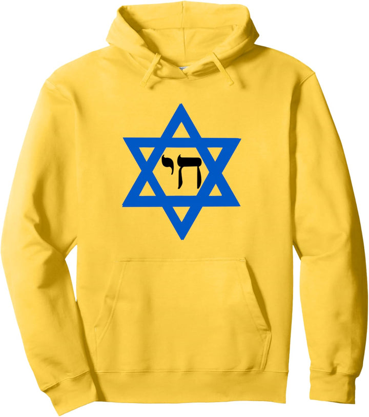 David Star Jude Pullover Hoodie
