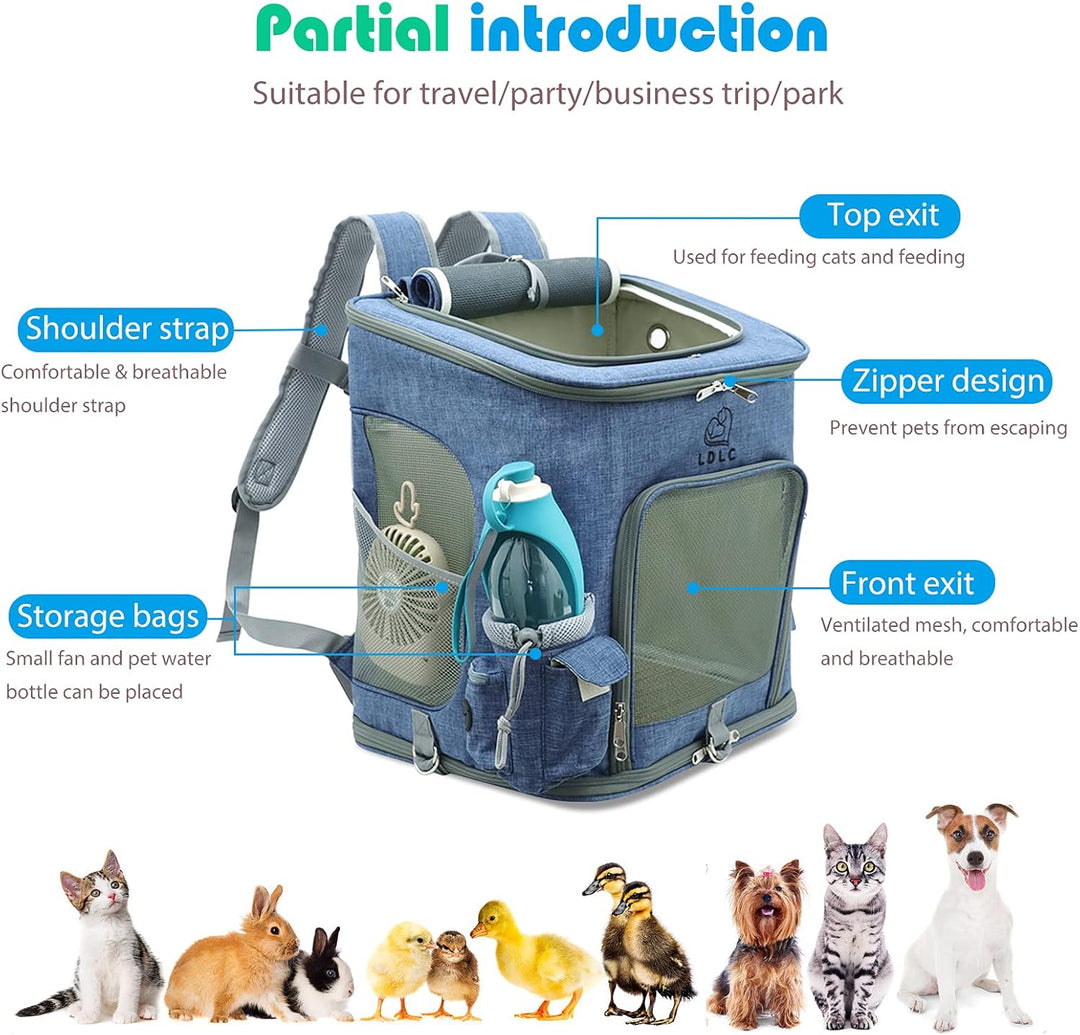 PETCUTE Hunderucksack,Faltbarer Katzenrucksack für Katzen und Hunde mit Abnehmbare Matte,Atmungsakti