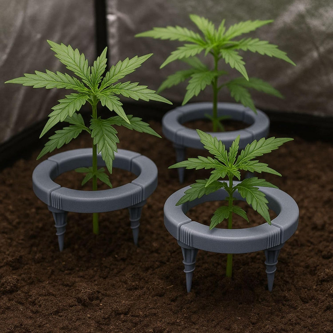 Weedness Water Master Tropf Ring 12 cm - Bewässerungssystem Grow Anbau Indoor Outdoor Pflanzen Garte