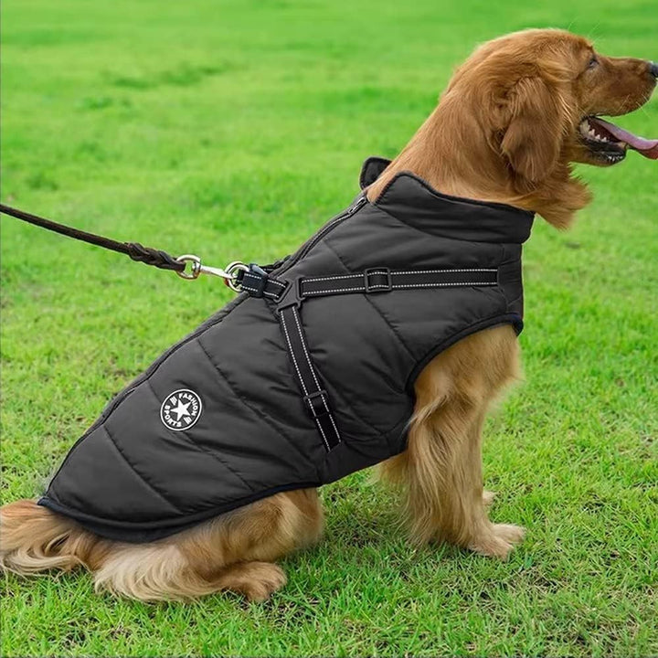 Voarge Hundejacke Winterweste Jacken, Hundemantel mit Geschirr für Kleine Hunde Hundemantel Wasserdi