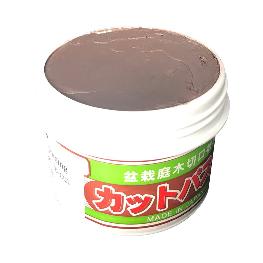 Japanischer Mastix, Heilpaste speziell für Bonsai-Laubbäume, 160 g