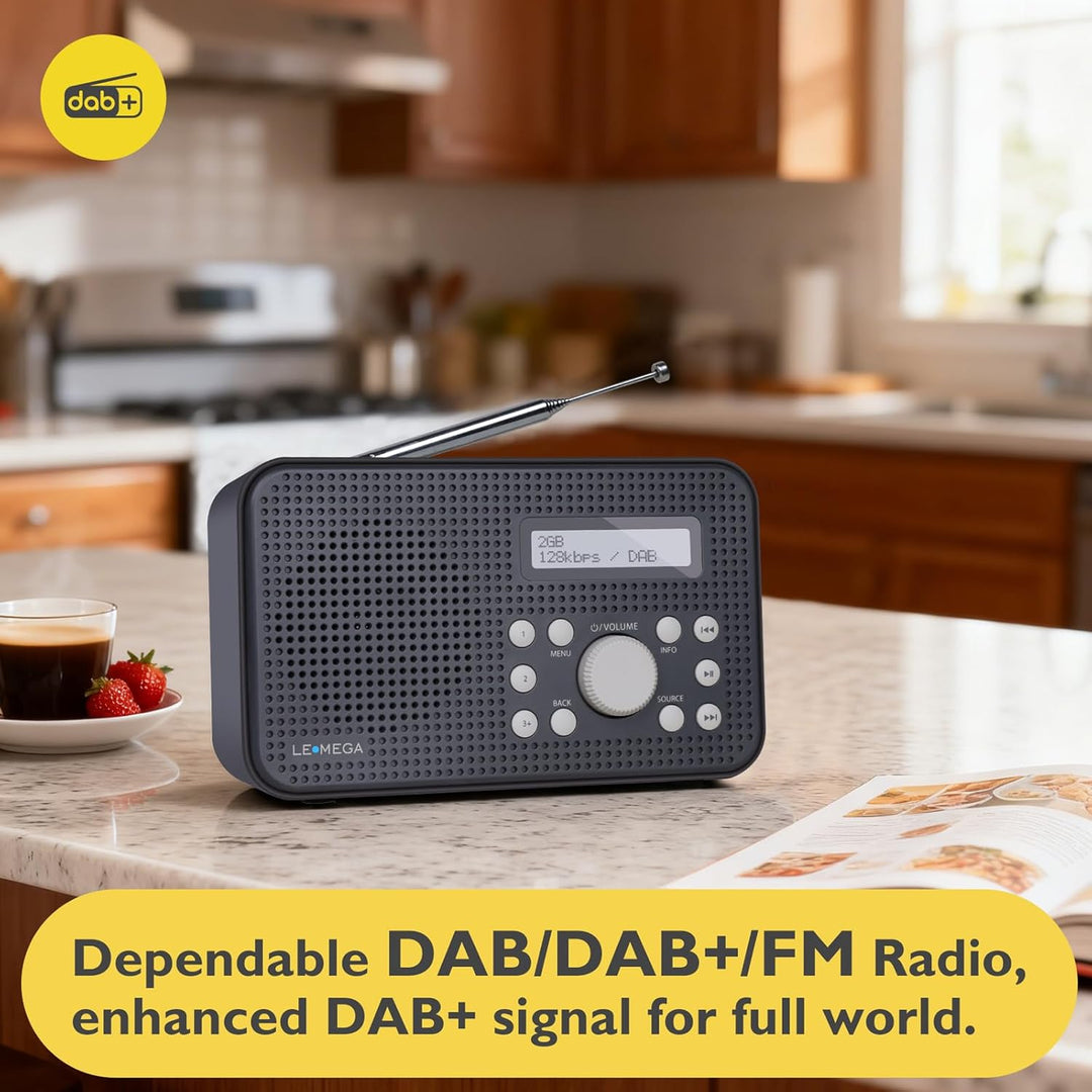 LEMEGA MP2 Portable DAB Radio (Dunkelgrau, MP2) MP2 Dunkelgrau, MP2 Dunkelgrau