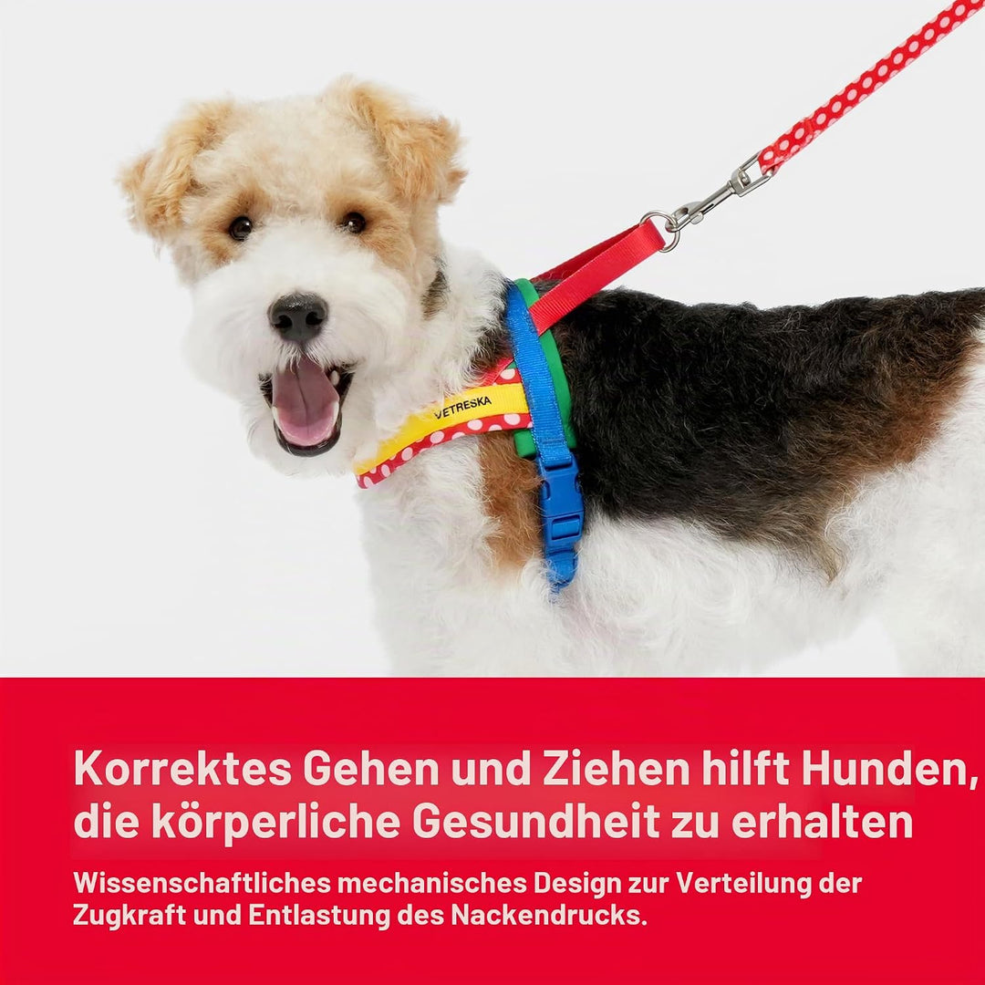 VETRESKA Hundegeschirr für kleine, mittelgrosse und grosse Hunde Kein Ziehen, Welpengeschirr und Lei