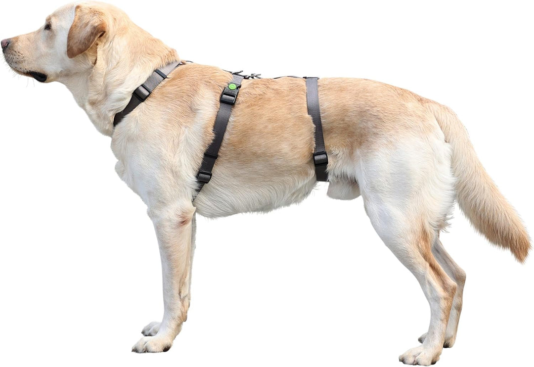 Kerbl Pet Pet 80044 Panikgeschirr Miami, Ausbruchsicher, Grau, 64-100cm