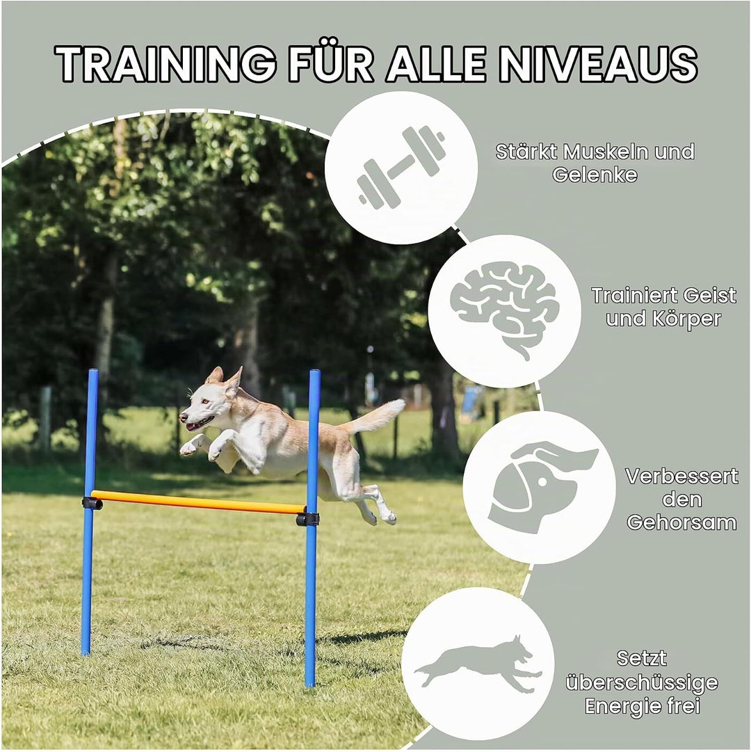 Trixie 3207 Dog Activity Agility Hürde, 123 × 115 × ø 3 cm, blau/orange