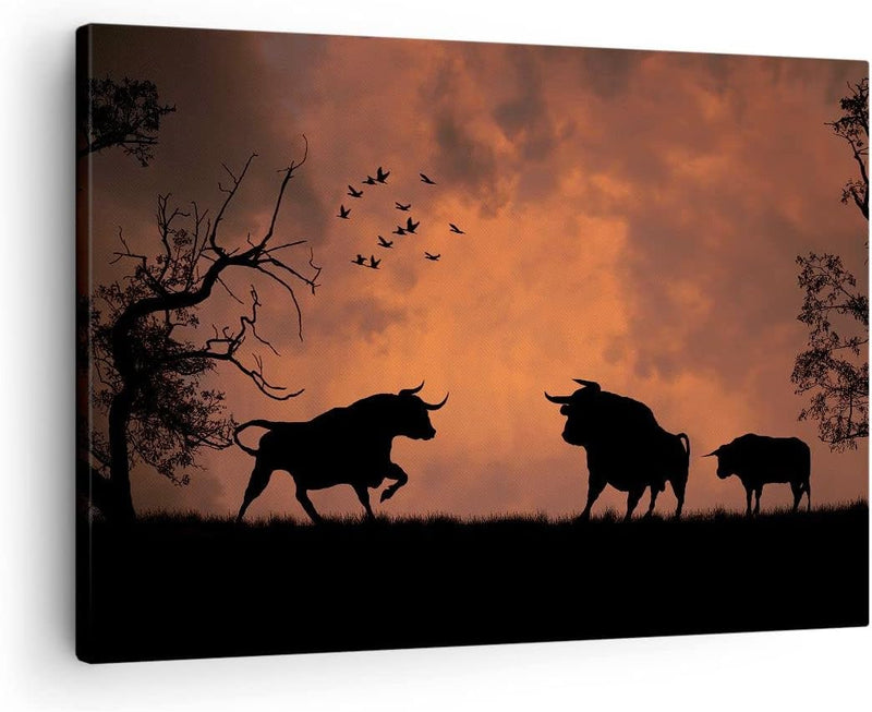 Bilder auf Leinwand Tier wütend Stier Leinwandbild mit Rahmen 70x50cm Wandbilder Dekoration Wohnzimm