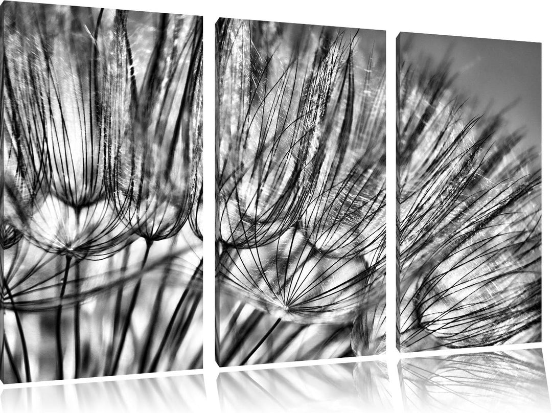 Pixxprint Pusteblumen als Leinwandbild/Grösse: 3 Teilig (120x80) cm/Wandbild/Kunstdruck/fertig bespa
