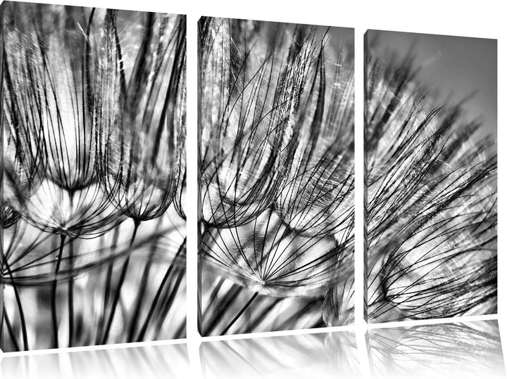 Pixxprint Pusteblumen als Leinwandbild/Grösse: 3 Teilig (120x80) cm/Wandbild/Kunstdruck/fertig bespa