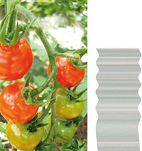 BigDean 40 Tomatenspiralstäbe 110cm voll verzinkt Tomatenstab Tomaten Ranke Pflanzstab Stahl Profi Q