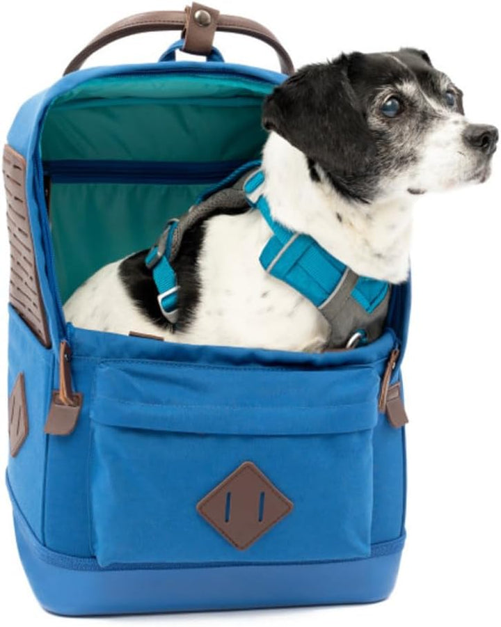 Kurgo Nomad Hunderucksack, Blau, Blau