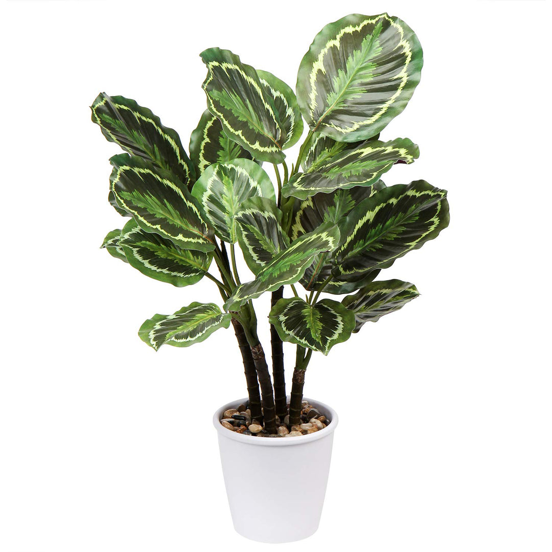 Briful 63CM Künstliche Calathea Medaillon Kunstpflanze Dekopflanze Tropische Zimmerpflanzen im Topf