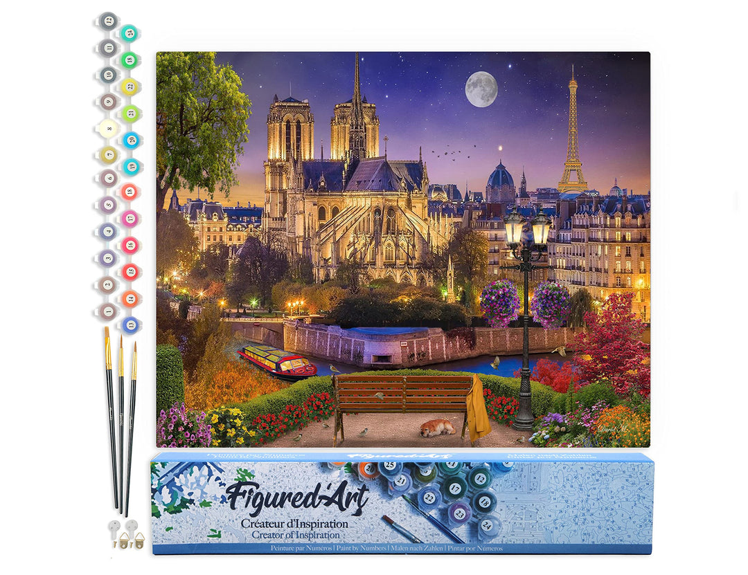 Figured'Art Malen Nach Zahlen Erwachsene Notre Dame unter den Sternen - Paint by Numbers Basteln DIY