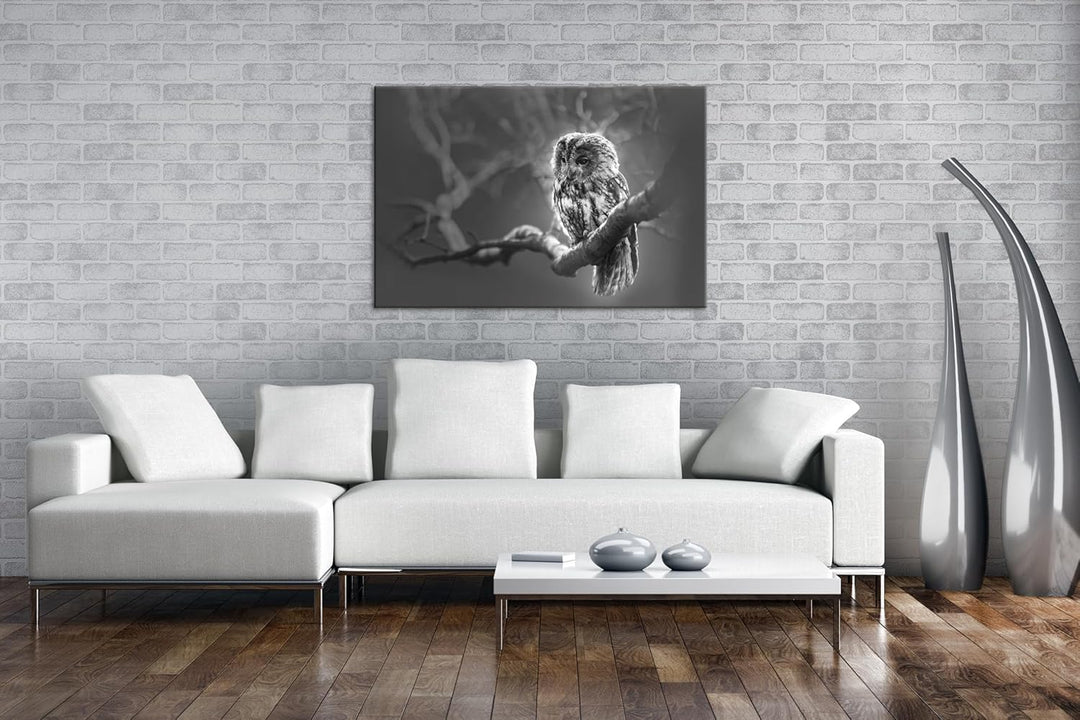 deyoli Lauernde Eule Format:75x50 cm Effekt: Schwarz/Weiss als Leinwandbild, Motiv fertig gerahmt au