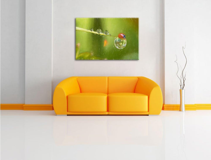 Pixxprint Marienkäfer als Leinwandbild/Grösse: 100x70 / Wandbild/Kunstdruck/fertig bespannt, 100x70