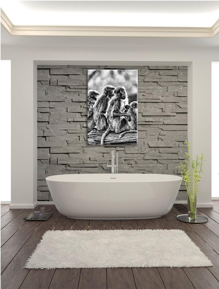 Pixxprint Monocrome, liebevolle Affenfamilie, Format: 100x70 auf Leinwand, riesige Bilder fertig ger
