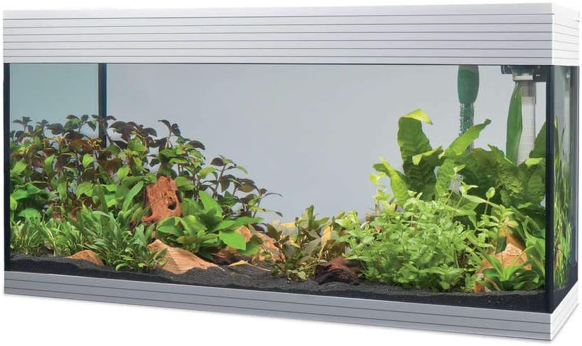 Askoll Aa350052 Pure Aquarium Kit LED, XL, Weiss
