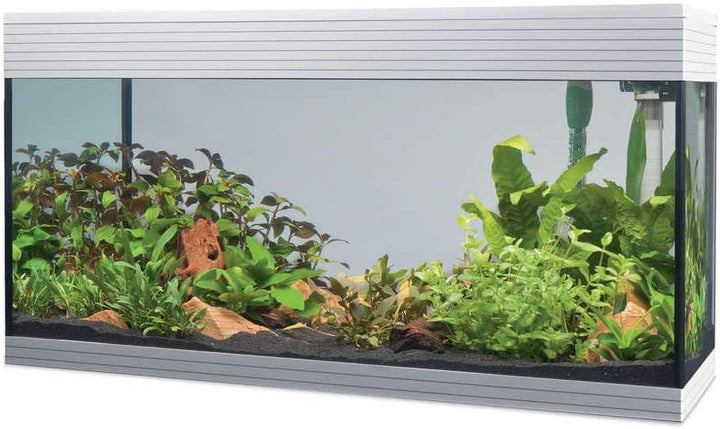 Askoll Aa350052 Pure Aquarium Kit LED, XL, Weiss
