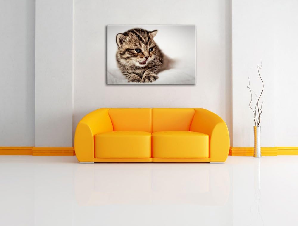 kleines Kätzchen auf weisser Decke auf Leinwand, XXL riesige Bilder fertig gerahmt mit Keilrahmen, K