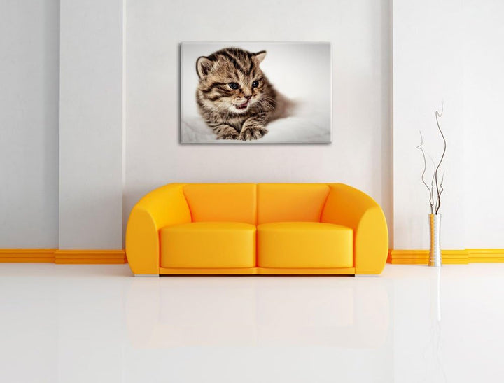 kleines Kätzchen auf weisser Decke auf Leinwand, XXL riesige Bilder fertig gerahmt mit Keilrahmen, K