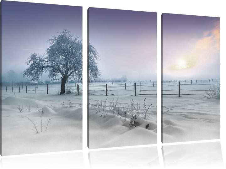 Pixxprint Einsamer Baum in Winterlandschaft schwarz/weiss 3-Teiler Leinwandbild 120x80 Bild auf Lein