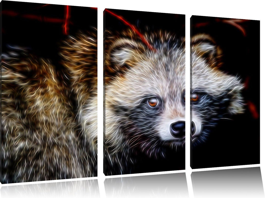 Dark scheuer Waschbär Spezial 3-Teiler Leinwandbild 120x80 Bild auf Leinwand, XXL riesige Bilder fer