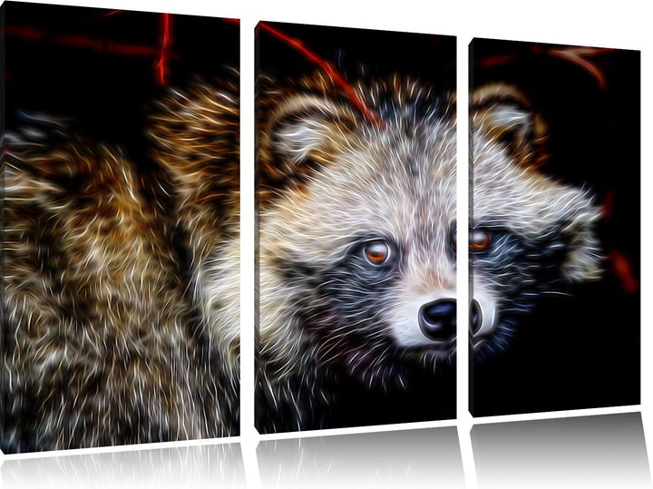Dark scheuer Waschbär Spezial 3-Teiler Leinwandbild 120x80 Bild auf Leinwand, XXL riesige Bilder fer