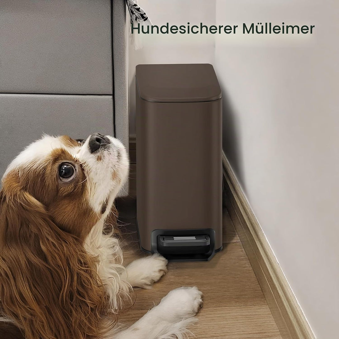 Cesun Badezimmer-Mülleimer mit Deckel, klein, sanft schliessend, Trittpedal, 6 Liter, Edelstahl-Müll