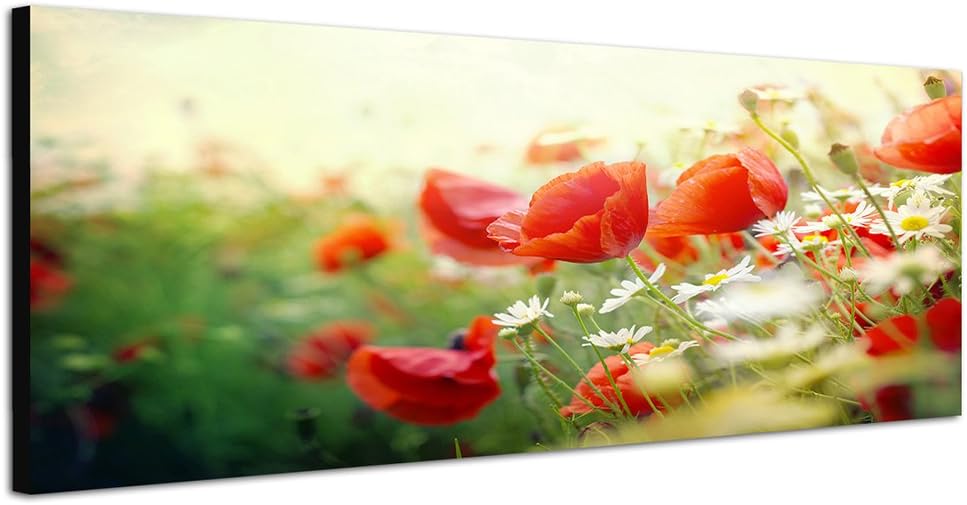Paul Sinus Art Panoramabild auf Leinwand und Keilrahmen 150x50cm Mohnblumen Frühling Sonnenstrahlen