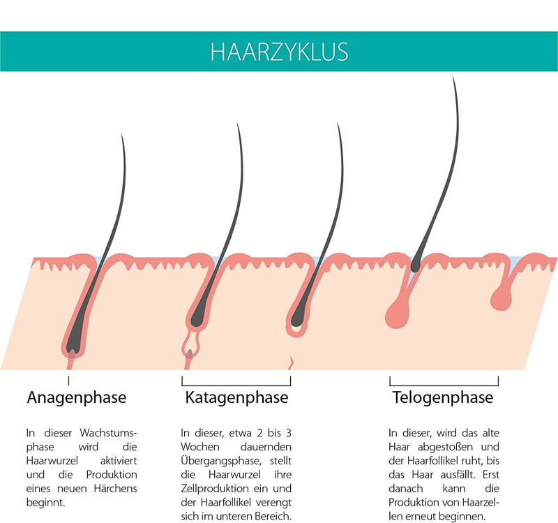 Beautylines Wimpernserum 6 ml – Serum für Wimpern und Augenbrauen Wimpernbooster Wimpernverlängerung