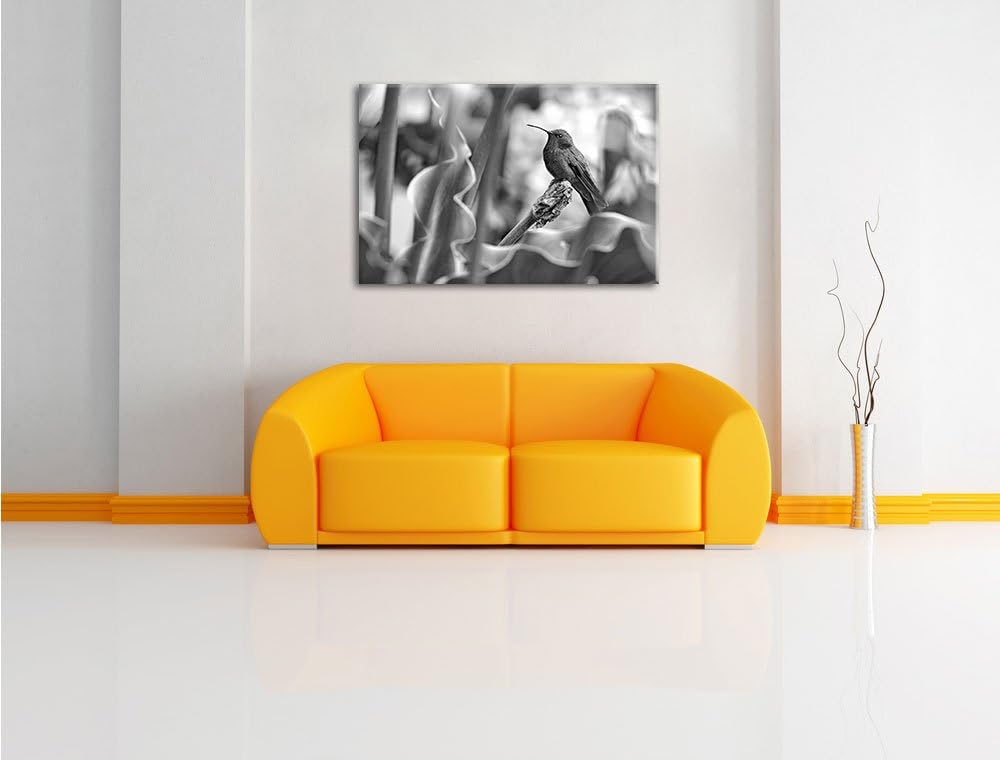 Pixxprint Kolibri in seinem Lebensraum als Leinwandbild/Grösse: 100x70 / Wandbild/Kunstdruck/fertig