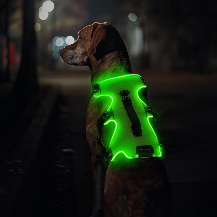 Jewyow Hundegeschirr Leuchtend, Wiederaufladbare LED Hundegeschirr, Led Geschirr für Hunde mit Weich