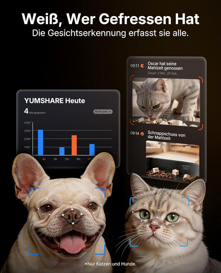 PETKIT YumShare Dual-Hopper 2 Futterautomat Katze 2 Näpfe Mit Kamera, Gesichtserkennung für Mehrere