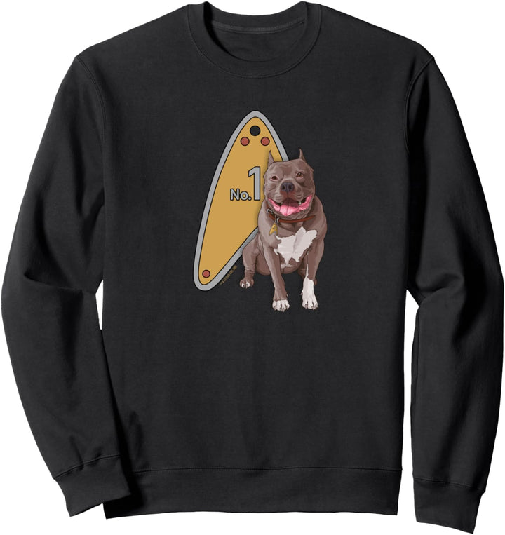Star Trek: Picard Nr.1 Tag Sweatshirt