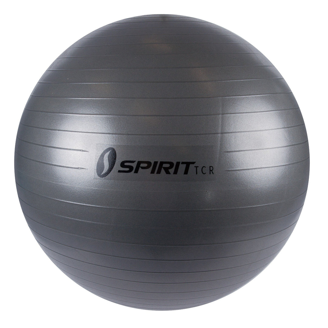 Spirit Gymnastikball Ø 75 Sitzball Fitnessball Yogaball Bürostuhl Ball + Pumpe