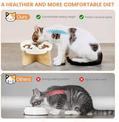 PETTOM Anti Schling Napf Katze Erhöht, Keramik Antischlingnapf Katze, Slow Feeder Katze Nassfutter,