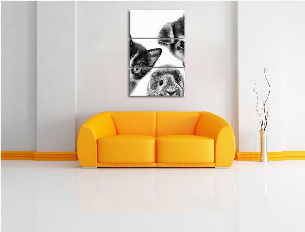 Pixxprint Trio Hund Katze Meerschwein als Leinwandbild/Grösse: 3 Teilig (120x80 cm) cm/Wandbild/Kuns
