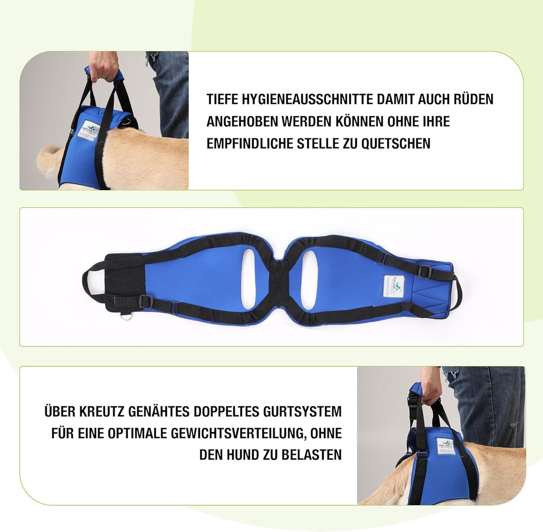 Hunde Tragehilfe XL Blau/ Hunde Gehhilfe / Hunde Rehahilfe, das Hilfsgeschirr für Probleme an der Wi