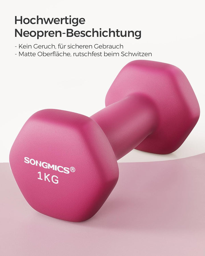 SONGMICS Hanteln, 2er Set,Hantelset, Kurzhanteln, Hexagon, Neopren-Beschichtung, Krafttraining, Work