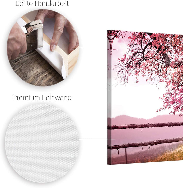ge Bildet Bild auf Leinwand | Frühlingsbaum - Natur Baum Rosa Pink A in 70x50 cm als Wandbild | Wand