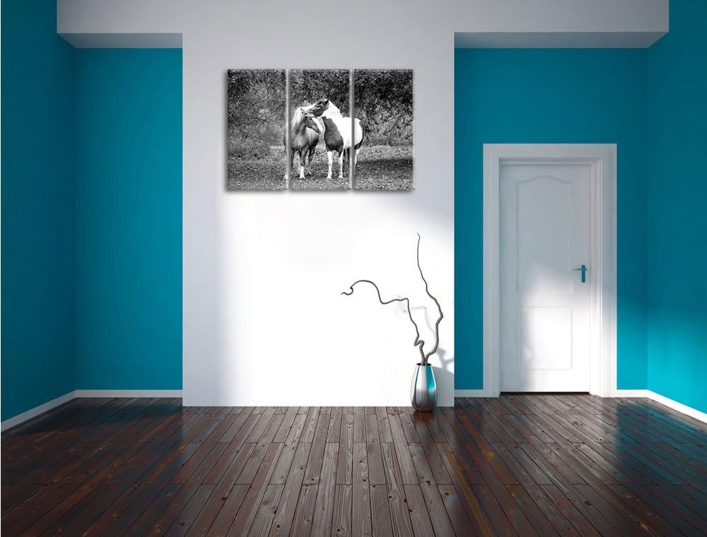 Pixxprint Zwei schmusende Pferde Kunst B&W als Leinwandbild/Grösse: 3 Teilig (120x80) cm/Wandbild/Ku